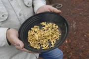 Goldnuggets