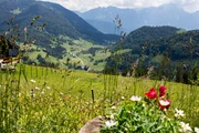 Blick ins Unkener Heutal