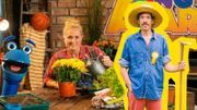 Singa und das SingDing finden heraus, ob sie einen grünen Daumen haben! Zumindest ist in ihrem Garten schon echt viel los, wenn sich Johannes Stankowski mit In unserm Garten dort nach getaner Arbeit mit seinen Freunden trifft.