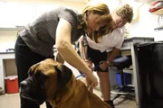 Lisa mit Sarah und Brutus