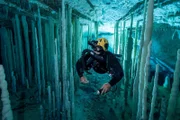 Die Blue Holes der Bahamas: Unter den Inseln erstreckt sich eine einzigartige Wasserwelt.