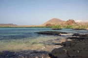 Die Galapagosinseln, Heimat einer einzigartigen Tier- und Pflanzenwelt: 1835 betrat erstmals der junge Charles Darwin dieses Land und fand darin Inspiration für seine revolutionäre Evolutionstheorie.