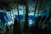 In Tausenden von Jahren ist unter den Bahamas ein faszinierendes Unterwasser-Labyrinth entstanden.