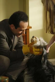 Adrian Monk (Tony Shalhoub) kann nicht zulassen, dass der Hund Shelby in der Tötungsstation landet und nimmt ihn kurzerhand bei sich auf. Ob das gut geht?