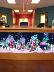 The Rescue Ranch Tank.