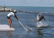 Loriel training as seen on Dolphin Days.