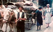 Deutschland Süden zu Zeiten des Nationalsozialismus: Evakuierungen aus der Roten Zone, Sommer 1939.