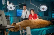 Bei dem nächtlichen Tiertransport gab es einen Unfall. Die Löwin muss sofort operiert werden. Cheftierärztin Dr. Susanne Mertens (Elisabeth Lanz, r.) und ihr Kollege, Dr. Matteo Berger (Tobias Licht, l.) kommen Hals über Kopf von einer Spendengala in den OP.