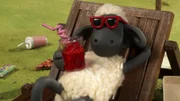 Shaun hat es sich gemütlich gemacht.