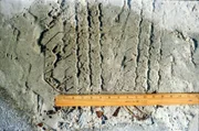 Reifenabdrücke