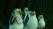 L-R: Rico, Kowalski, Skipper, Private