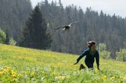 Ein Weißkopfseeadler kann gefährlich werden – selbst für Jan (Guiliano Marieni).