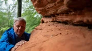 Colin Devey betrachtet den roten Sandstein, der in der Pfalz allgegenwärtig ist. Er ist der solide Untergrund auf dem der Pfälzerwald ruht. Das Gestein ist vor 250 Millionen Jahren entstanden, als urzeitliche Flüsse in einer sonst trockenen Wüstenlandschaft ihre Sedimente ablagerten. Eisenoxide verleihen dem Buntsandstein seine rötliche Färbung.