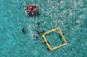 Wird es den Wächtern des Great Barrier Reef gelingen, dieses Naturparadies zu retten und die Katastrophe abzuwenden?