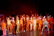 Durchschnittsalter 80: Der „Heaven can wait“ – Chor aus Hamburg.