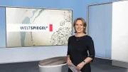 ARD/SWR WELTSPIEGEL, "Auslandskorrespondenten berichten      Moderation: Ute Brucker"