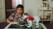 Von nun an begleitet Roccos (Hoang Minh Ha) neuer Freund Bibo ihn überall hin, auch zum Abendessen mit den Eltern.