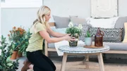 Jasmine (host) says there can never be too many plants! Adding greenery adds life and a homey feel to a newly renovated home.