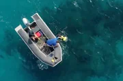 Wissenschaftler kennen das Biotop des Great Barrier Reef genau und versuchen, es zu retten.