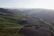 Italien, meine Liebe Emilia-Romagna Lambrusco Anbaugebiet