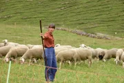 Die Tierärztin hilft beim Schäfer aus: Cristina do Rego als Filippa