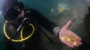 Underwater shot of a diver holding gold coins.