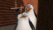 L-R: Skipper, Rico