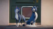 Kater Prinz hat einen Doppelgänger, der sich bei ihm eingeschlichen hat. Die Coop Troop soll herausfinden, welcher von beiden Katern der echte Prinz ist.