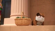 Dertutnix ist der Hund des Metzgers.  +++