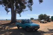 Südafrikas Garden Route Eine legendäre Küstenstrasse Straussenzucht in Oudtshoorn