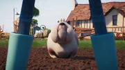 Hofhund Bertha