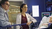 Daniel Charles (Oliver Platt), Natalie Manning (Torrey DeVitto)