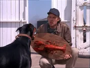Murdock (Dwight Schultz, re.) versucht den wütenden Hund zu beruhigen...