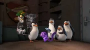 L-R: Julien, Maurice, Skipper, Mort, Kowalski, Private, Rico