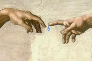 Ist Wasser die universelle Wiege des Lebens?