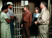 Familienoberhaupt John Walton (Ralph Waite, M.) versucht alles, um die Unschuld seines Freundes und Gehilfen Harley zu beweisen ...