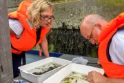 Claire Hector und Ian Boyd vom Artecology-Projekt untersuchen den Bestand an Meerestieren.