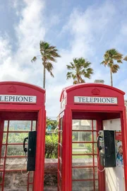Britische Telefonzellen unter Palmen sind das Markenzeichen des Überseegebiets Bermuda.