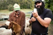 Schäfer Holger Langschied mit Vater Kurt. Landschaftspflege mit Schafen – und Glücksgefühl.