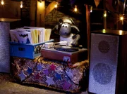 Noch hat Shaun alles im Griff - aber dann gerät der Discoabend in der Scheune völlig außer Kontrolle, als die ungeladenen Schweine das DJ-Pult und die Tanzfläche übernehmen.