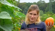 Neugärtnerin Johanna und ihr Nachwuchs können sich unterdessen über eine reiche Ausbeute an Kürbissen und Pfirsichen freuen