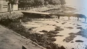 In Farborg in Dänemark wird ein Toter an der Uferpromenade gefunden. Sein Genitalbereich wurde verstümmelt.