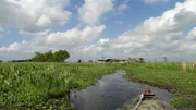 Die „Bayous“, so heißen die versumpften, langsam fließenden Gewässer von Louisiana, sind ein Paradies, nicht nur für Wasservögel.