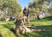 Frank Elstner möchte in Südafrika mehr erfahren über Geparden und warum diese Raubkatzen vom Aussterben bedroht sind – und kam den Tieren dabei sehr nah.