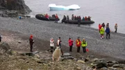Anlegen auf der Insel der Pinguine.
