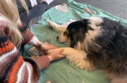 Hündin Bella mit ihrem HundeMenschen.