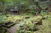 Ein ehemaliger Sandsteinbruch an der Nahe in Rheinland-Pfalz ist das Ziel der zweiten „Garten & lecker“- Reise. Dieses einst zugewucherte und unwegsame Gelände von acht Hektar haben die „Naturgärtner“ Ursula Altmoos und ihr Mann Michael in 13 Jahren harter Arbeit in ein Wildgartenparadies verwandelt. Im schattigen Teil, am Steinhang, gedeihen auf rund 1000 Quadratmetern verschiedenste Moose und Farne.