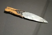 Der Dolch von Allensbach gehört zu den wichtigsten Funden am Bodensee. Die Silexklinge stammt aus Italien.