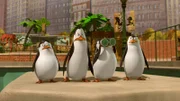 L-r: Private, Kowalski, Skipper, Rico