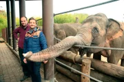 Daniel Aßmann mit Revierleiter Michael Adler (l) vom Allwetterzoo Münster. Neugierig ist Elefantendame Kanaudi.
